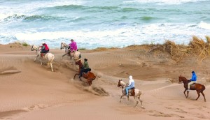 Horseback Riding on the Beach in Punta del Este